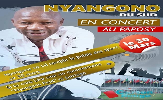 Le lion Nyango du Sud en concert explosif au palais des sports de Yaoundé.